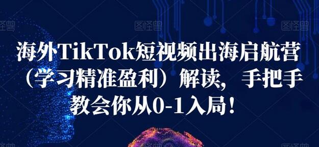 海外TikTok短视频出海启航营（学习精准盈利）解读，手把手教会你从0-1入局！-虫2小屋