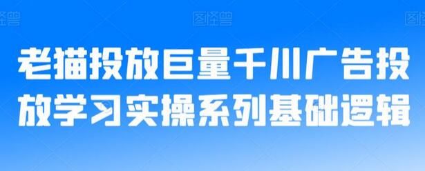 老猫投放巨量千川广告投放学习实操系列基础逻辑-虫2小屋