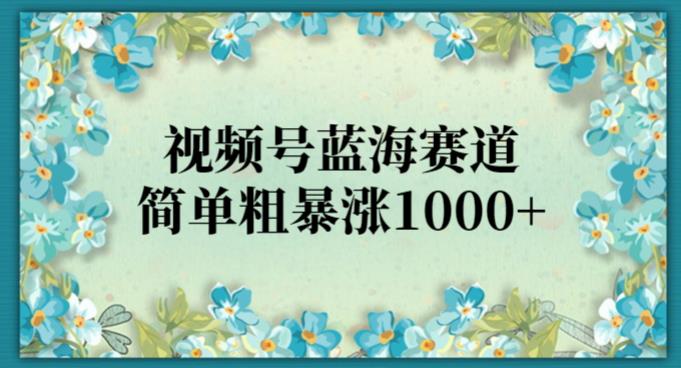 视频号蓝海赛道，简单粗暴涨1000+-虫2小屋
