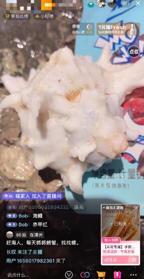 最新抖音快手赶海无人直播流量庞大，效果出奇的好（教程+素材）
