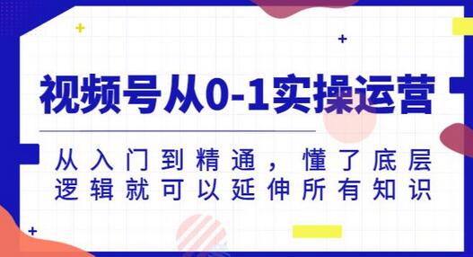 视频号从0-1实操运营，从入门到精通，懂了底层逻辑就可以延伸所有知识-虫2小屋