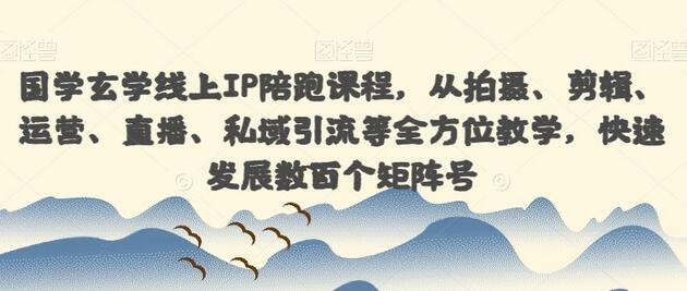 国学玄学线上IP陪跑课程，从拍摄、剪辑、运营、直播、私域引流等全方位教学，快速发展数百个矩阵号-虫2小屋