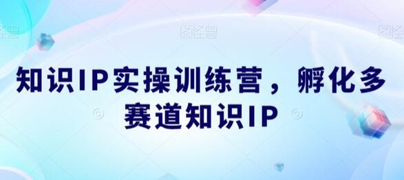 知识IP实操训练营，​孵化多赛道知识IP-虫2小屋