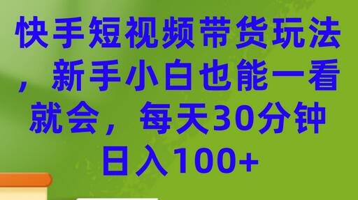 快手短视频带货玩法，新手小白也能一看就会，每天30分钟日入100+-虫2小屋