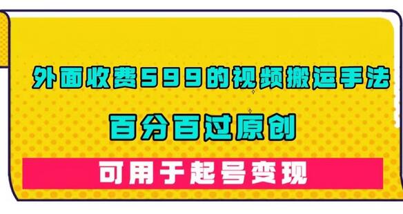 外面收费599的视频搬运手法，百分百过原创，可用起号变现-虫2小屋
