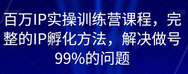 百万IP实操训练营课程，完整的IP孵化方法，解决做号99%的问题-虫2小屋