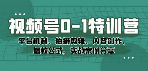 视频号0-1特训营：平台机制、拍摄剪辑、内容创作、爆款公式，实战案例分享-虫2小屋