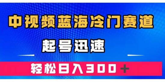 中视频蓝海冷门赛道，韩国视频奇闻解说，起号迅速，日入300＋-虫2小屋