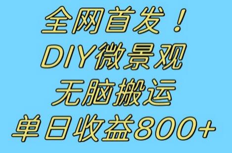 全网首发冷门赛道！DIY微景观，无脑搬运视频，日收益800+-虫2小屋