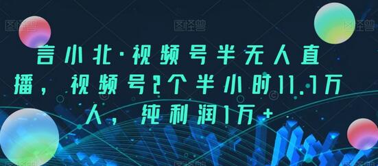 言小北·视频号半无人直播，视频号2个半小时11.7万人，纯利润1万+-虫2小屋