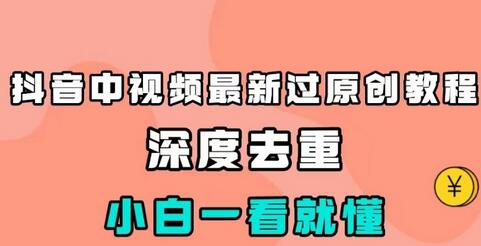 抖音中视频最新过原创教程，深度去重，小白一看就懂-虫2小屋
