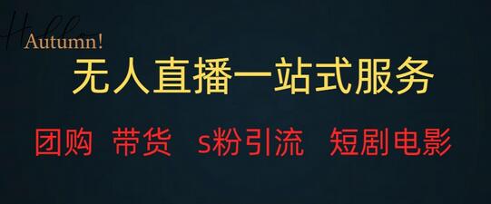 无人直播全套服务，变现稳定-虫2小屋