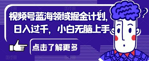 视频号蓝海领域掘金计划，日入过千，小白无脑上手-虫2小屋