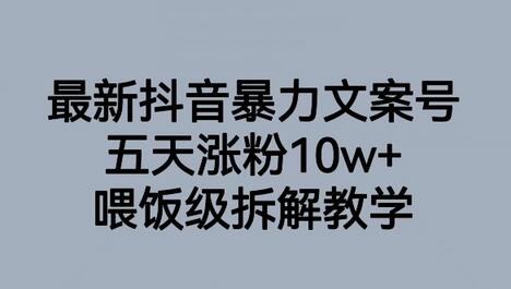最新抖音暴力文案号，五天涨粉10w+，喂饭级拆解教学-虫2小屋