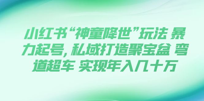 小红书“神童降世”玩法 暴力起号,私域打造聚宝盆 弯道超车 实现年入几十万-虫2小屋