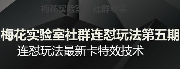 梅花实验室社群连怼玩法第五期，视频号连怼玩法最新卡特效技术-虫2小屋