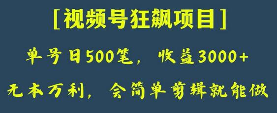 日收款500笔，纯利润3000+，视频号狂飙项目，会简单剪辑就能做-虫2小屋