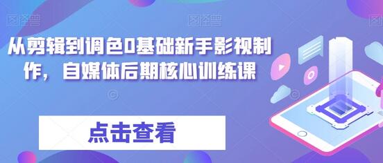从剪辑到调色0基础新手影视制作，自媒体后期核心训练课-虫2小屋