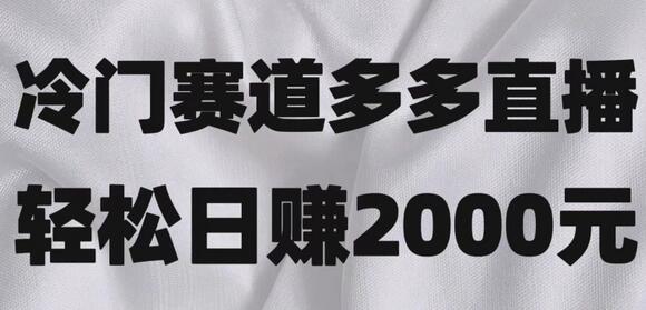 冷门赛道拼多多直播，简单念稿子，日收益2000＋-虫2小屋
