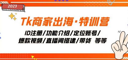 Tk商家出海·特训营：ID注册/功能介绍/定位账号/爆款视频/直播间搭建/带货-虫2小屋