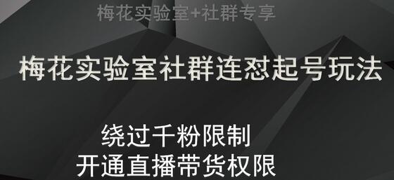 梅花实验室社群连怼起号玩法，视频号绕过千粉限制，开通直播带货权限-虫2小屋