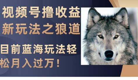 视频号撸收益新玩法之狼道，目前蓝海玩法轻松月入过万！-虫2小屋
