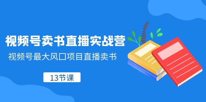 视频号-卖书直播实战营，视频号最大风囗项目直播卖书（13节课）-虫2站点