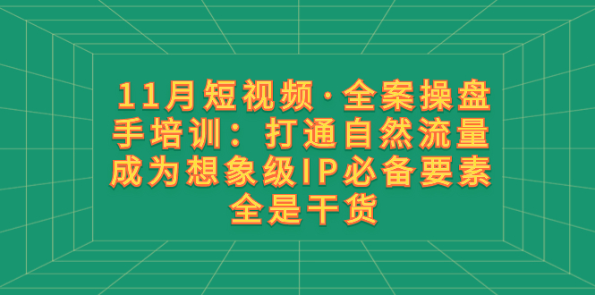 【终身VIP专享】参哥-11月短视频·全案操盘手培训：打通自然流量 成为想象级IP必备要素 全是干货-虫2小屋