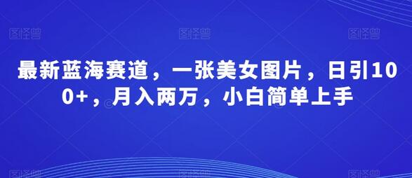最新蓝海赛道，一张美女图片，日引100+，月入两万，小白简单上手-虫2小屋