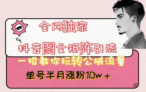 全网独家抖音图文矩阵引流，一招教你玩转公域流量，单号半月涨粉10w+-虫2小屋