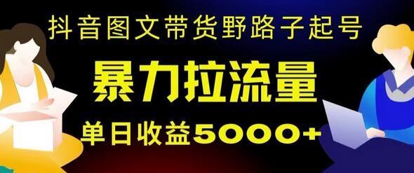 抖音图文带货暴力起号，单日收益5000+，野路子玩法，简单易上手，一部手机即可-虫2小屋