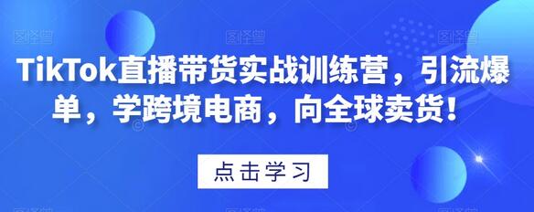 TikTok直播带货实战训练营，引流爆单，学跨境电商，向全球卖货！-虫2小屋