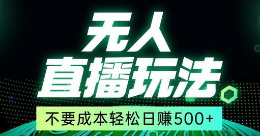 全网首发24年最新无人直播玩法，不需要成本，无需人力，一台电脑24小时为你工作-虫2小屋
