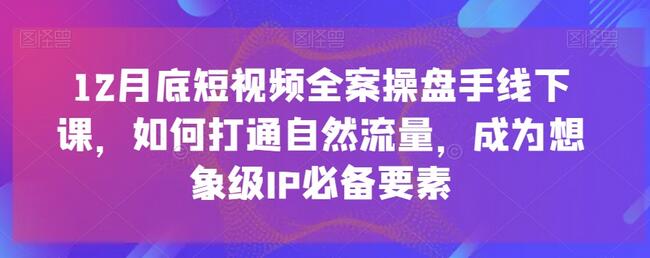 12月底短视频全案操盘手线下课，如何打通自然流量，成为想象级IP必备要素-虫2小屋