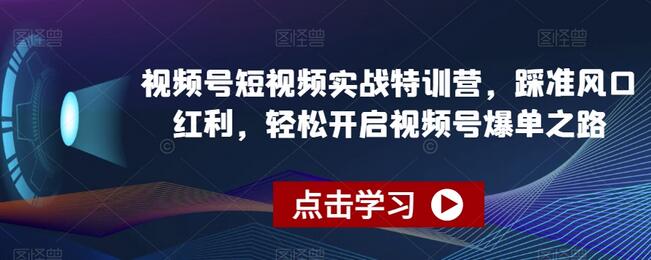 视频号短视频实战特训营，踩准风口红利，轻松开启视频号爆单之路-虫2小屋
