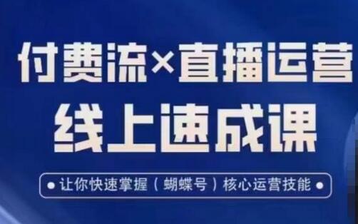 视频号付费流实操课程，付费流✖️直播运营速成课，让你快速掌握视频号核心运营技能-虫2小屋