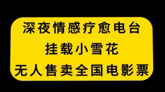 深夜情感疗愈电台，挂载小雪花，无人售卖全国电影票-虫2小屋
