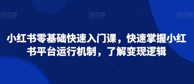 小红书零基础快速入门课，快速掌握小红书平台运行机制，了解变现逻辑-虫2小屋