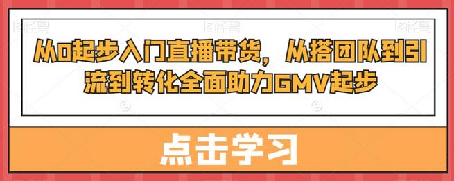 从0起步入门直播带货，​从搭团队到引流到转化全面助力GMV起步-虫2小屋