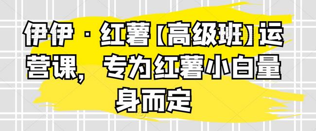 伊伊·红薯【高级班】运营课，专为红薯小白量身而定-虫2小屋