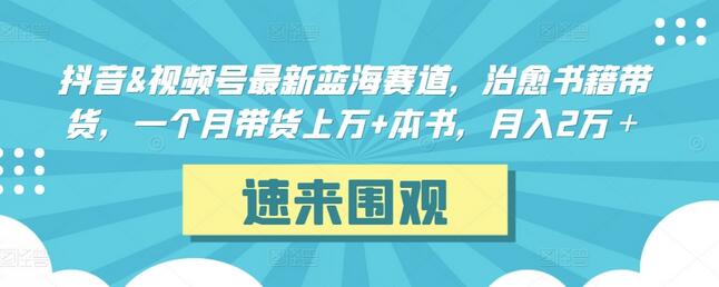 抖音&视频号最新蓝海赛道，治愈书籍带货，一个月带货上万+本书，月入2万＋-虫2小屋