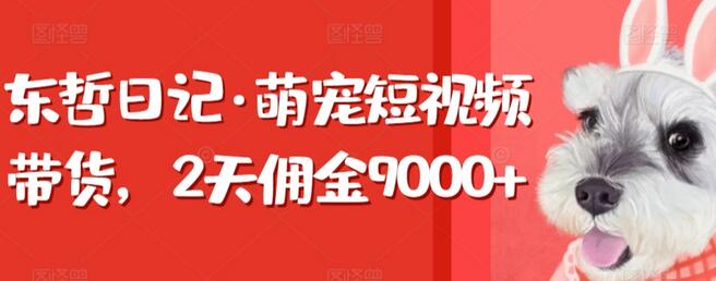 东哲日记·萌宠短视频带货，2天佣金9000+-虫2小屋