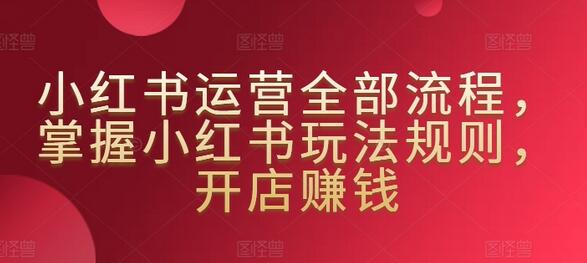 小红书运营全部流程，掌握小红书玩法规则，开店赚钱-虫2小屋