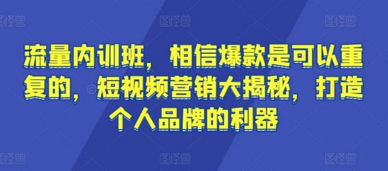 流量内训班，相信爆款是可以重复的，短视频营销大揭秘，打造个人品牌的利器-虫2小屋