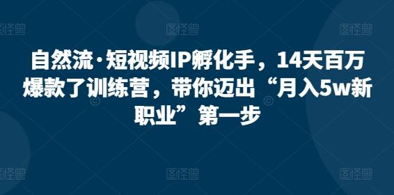 自然流·短视频IP孵化手，14天百万爆款了训练营，带你迈出“月入5w新职业”第一步-虫2小屋