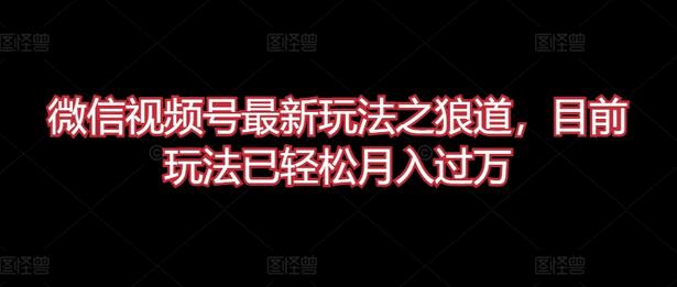 微信视频号最新玩法之狼道，目前玩法已轻松月入过万-虫2小屋