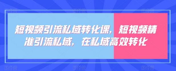 短视频引流私域转化课，短视频精准引流私域，在私域高效转化-虫2小屋