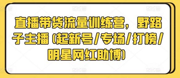 直播带货流量训练营，野路子主播(起新号/专场/打榜/明星网红助博)-虫2小屋