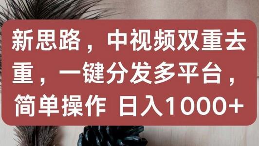 新思路，中视频双重去重，一键分发多平台，简单操作，日入1000+-虫2小屋
