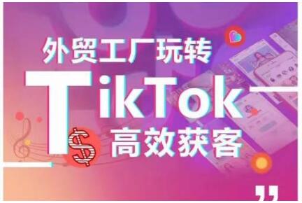 外贸工厂玩转TikTok高效获客，多种引流方式与账号定位技巧，拆解爆款短视频打造成功案例-虫2小屋